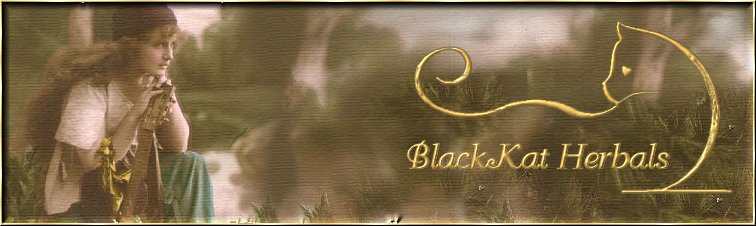 BlackKat Ritual Needs